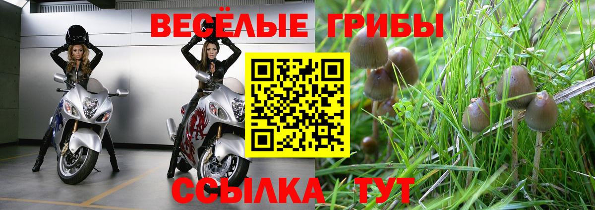 Галлюциногенные грибы прущие грибы Королёв