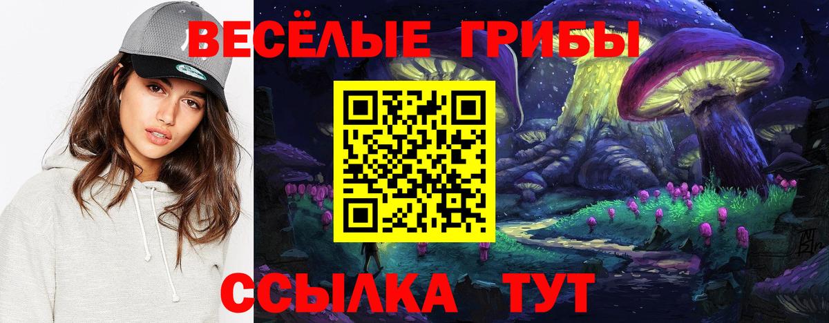 Королёв  Псилоцибиновые грибы MAGIC MUSHROOMS  Вход с VPN 